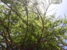 20190511_115000.webp