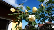 20190517_084104.webp