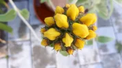 20190517_084016(0).webp