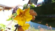 20190517_083955.webp