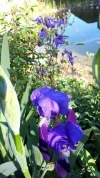 20190517_083904.webp