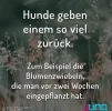 FB_IMG_1557808155558.webp