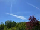 P1060868c.webp