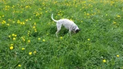 20190425_141846.webp