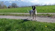 20190415_153956.webp