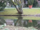 Schlo.webp