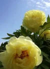 IMG_20190519_094717.webp