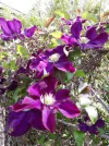 20190520_151545.webp