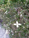 20190520_151657.webp