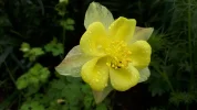 20190521_084645.webp