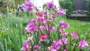 20190521_084631.webp