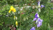 20190521_084554.webp