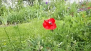 20190521_084618-3456x1944.webp