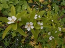 DSCN2316.webp