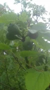 20190522_172259.webp