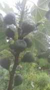 20190522_172228.webp