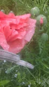 20190522_172314.webp