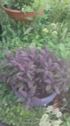 20190522_172401.webp