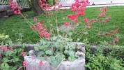 20190523_182757.webp