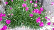 20190523_182748.webp