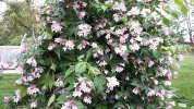 20190523_182739.webp