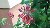 20190524_164655.webp