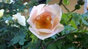 20190524_164633.webp