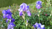 20190524_164508.webp