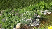 20190524_164332-3456x1944.webp