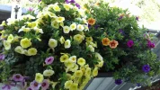 20190525_114328_resized.webp