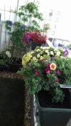 20190525_114707_resized.webp