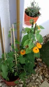 20190525_114721_resized.webp