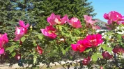 20190526_083143-3456x1944.webp