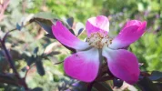 20190526_083247-3456x1944.webp