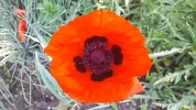 20190526_083413-3456x1944.webp