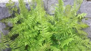 20190526_082955.webp