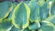 20190526_082948.webp