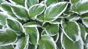 20190526_082933.webp