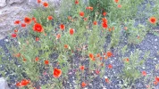 20190526_082824.webp
