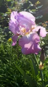 20190526_082805.webp