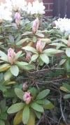 20190526_082717.webp