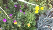 20190526_082543.webp