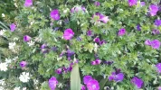 20190526_082427.webp