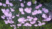 20190526_082406.webp