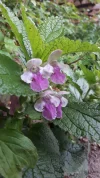 20190527_062611.webp