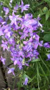 20190527_112812.webp