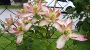 20190527_112757.webp