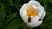 20190527_111546.webp