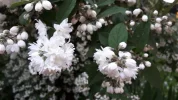 20190527_153239.webp