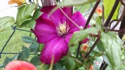 20190527_152611.webp
